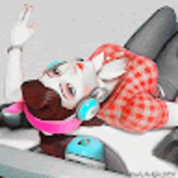 ladytokki